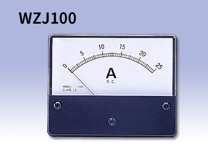 PANEL Meter：WZJ100
